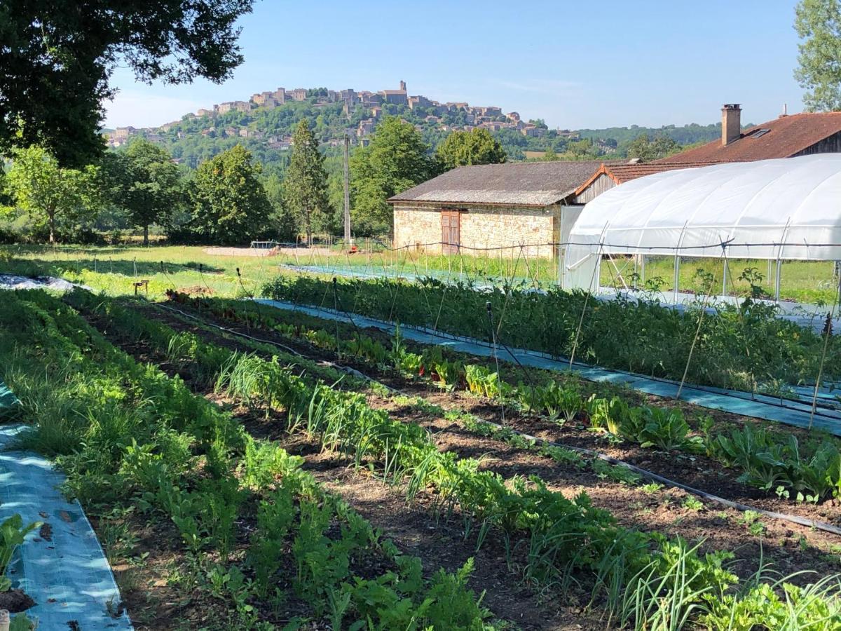 Gite A La Ferme De Verdurette Cordes-Sur-Ciel Eksteriør billede