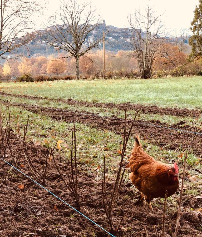Gite A La Ferme De Verdurette Cordes-Sur-Ciel Eksteriør billede
